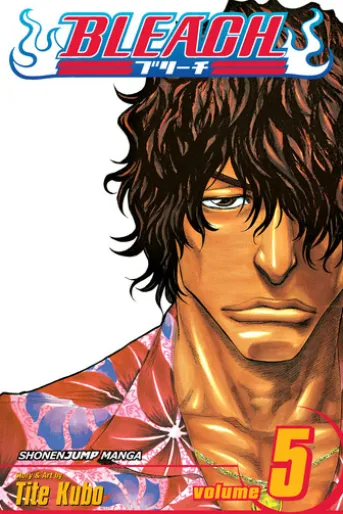 Bleach, Vol. 5