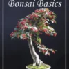 Bonsai4me: Bonsai Basics
