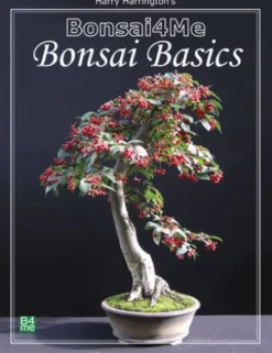 Bonsai4me: Bonsai Basics
