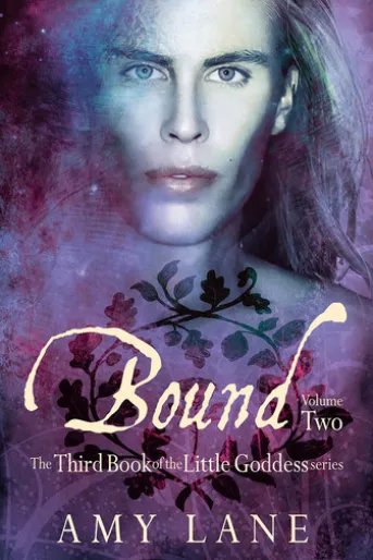 Bound, Vol. 2