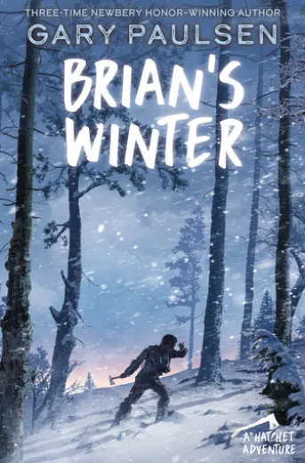 Brian's Winter