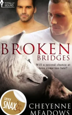 Broken Bridges