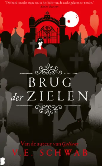 Brug der zielen