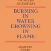 Burning in Water, Drowning in Flame