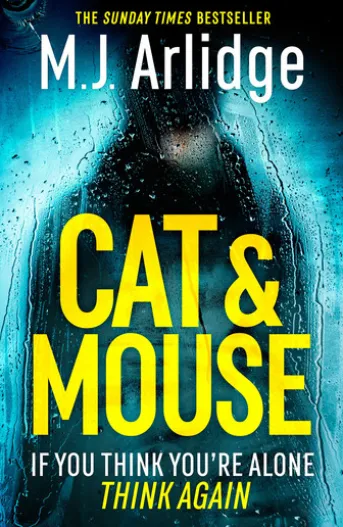 Cat And Mouse
