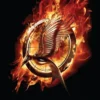 Catching Fire