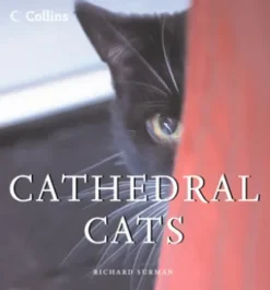 Cathedral Cats
