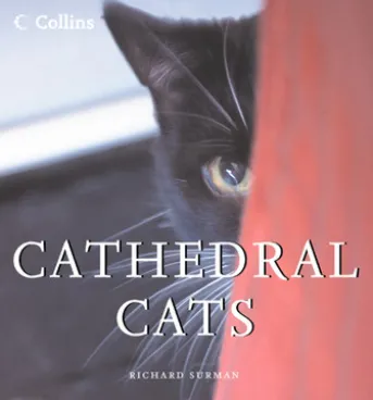 Cathedral Cats