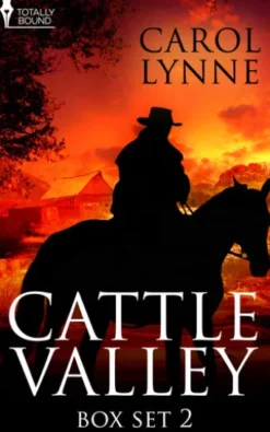 Cattle Valley Box Set 2