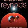 Chasm City