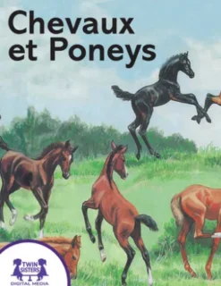 Chevaux et Poneys