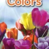 Colors