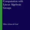 Computation with Linear Algebraic Groups