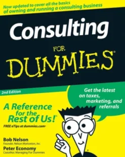 Consulting For Dummies