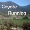 Coyote Running