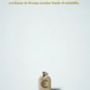 Crowdfunding