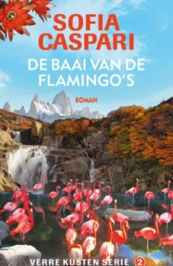 De baai van de flamingo's