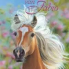 De droom van Fabio