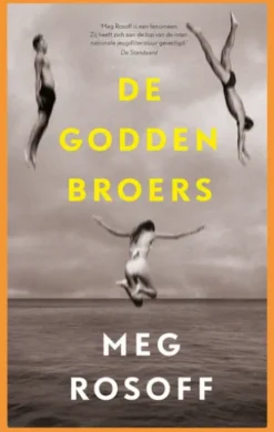 De Godden broers