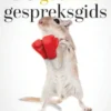 De Gouden gespreksgids
