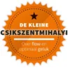 De kleine Csikszentmihalyi