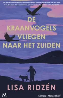 De kraanvogels vliegen naar het zuiden