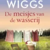 De meisjes van de wasserij