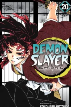 Demon Slayer: Kimetsu no Yaiba, Vol. 20