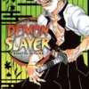 Demon Slayer: Kimetsu no Yaiba, Vol. 17
