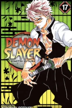 Demon Slayer: Kimetsu no Yaiba, Vol. 17