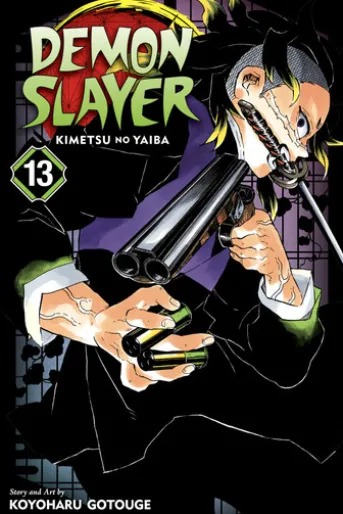 Demon Slayer: Kimetsu no Yaiba, Vol. 13