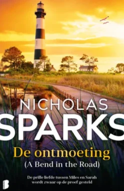 De ontmoeting