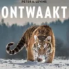 De tijger ontwaakt