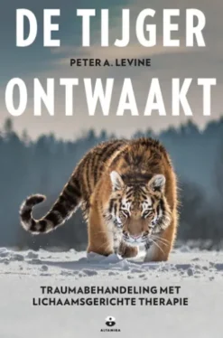 De tijger ontwaakt