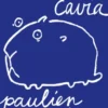 De verwarde cavia