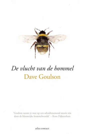 De vlucht van de hommel