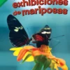 Diseñar exhibiciones de mariposas