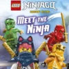 DK Super Readers Level 1 LEGO NINJAGO Dragons Rising Meet the Ninja