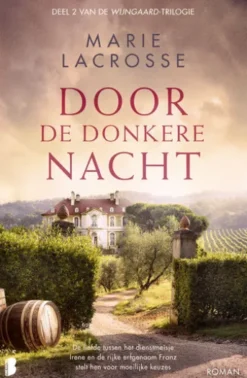 Door de donkere nacht