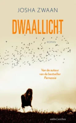 Dwaallicht