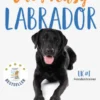 Easy Peasy Labrador