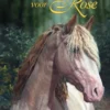 Een veulen voor Rose