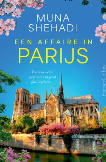 Een affaire in Parijs