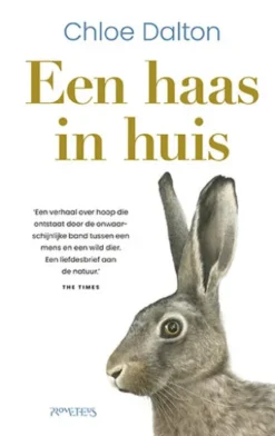 Een Haas in huis