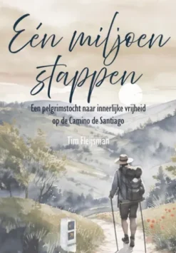 Een miljoen stappen
