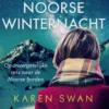 Een Noorse winternacht