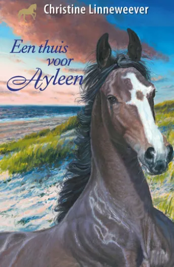 Een thuis voor Ayleen