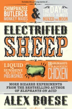 Electrified Sheep