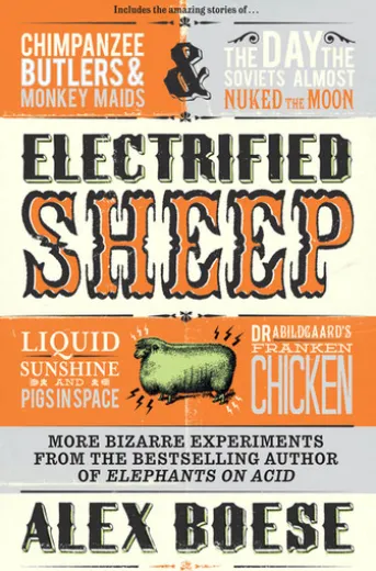 Electrified Sheep
