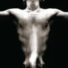 Equus